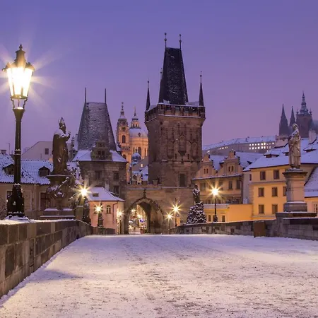 Daire In Hip District Of Vinohrady Prag
